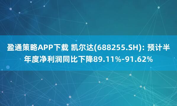 盈通策略APP下载 凯尔达(688255.SH): 预计半年度净利润同比下降89.11%-91.62%